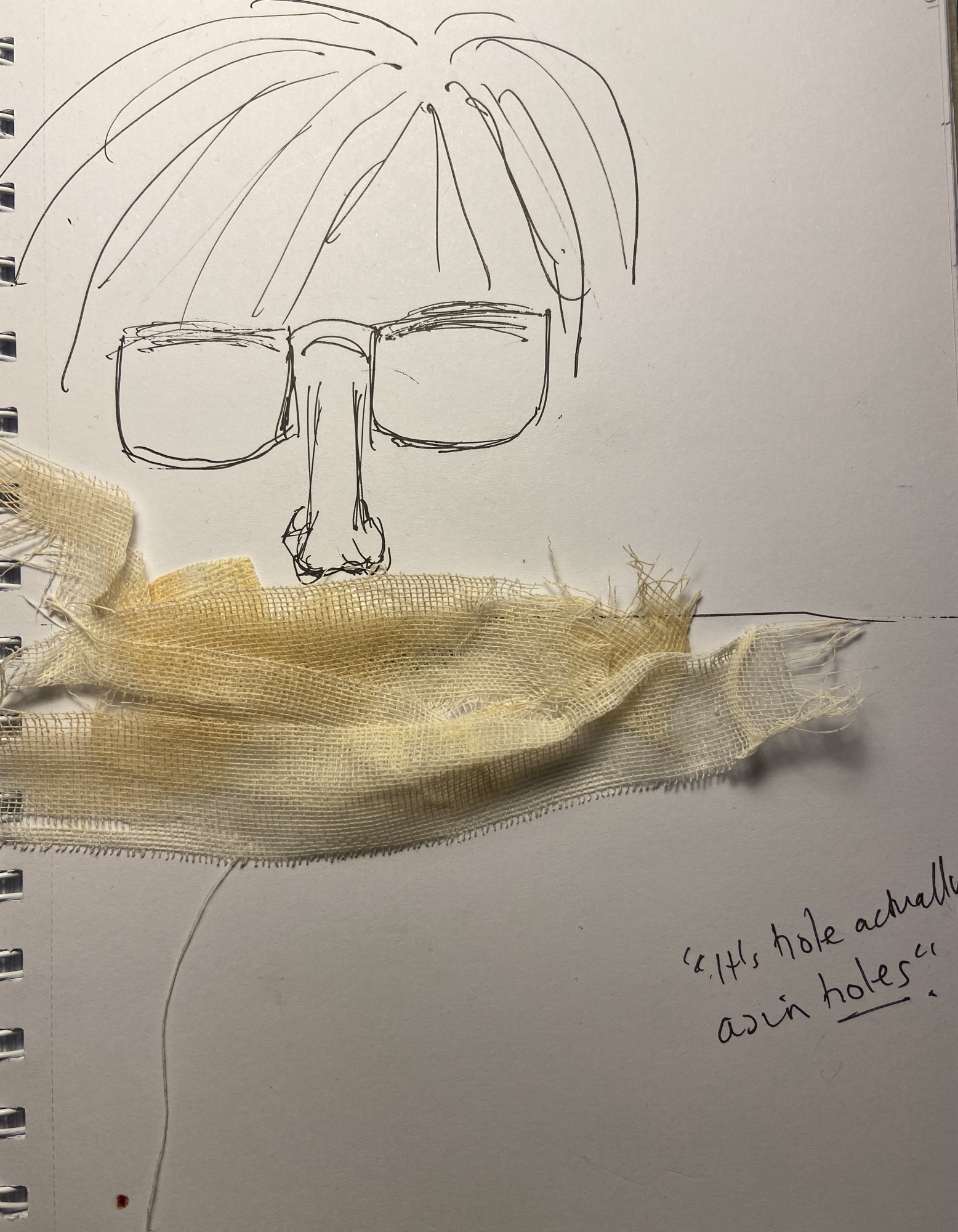 It’s hole actually, as in&nbsp;holes